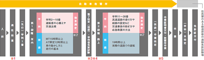 普通免許取得の流れ