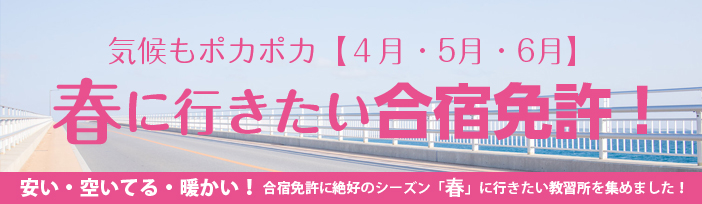 ４月以降の空いている時期に行きたい合宿免許